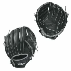 WilsonA36012in-Glove